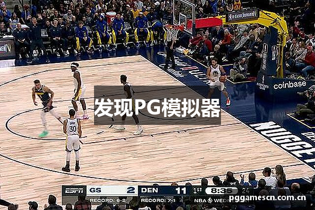 发现PG模拟器